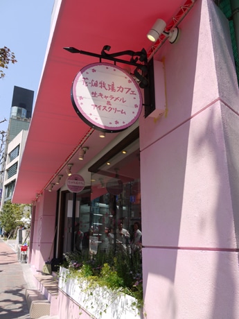 ピンク色の「バス」をイメージした店内（写真＝青山店の様子）。生キャラメルを使ったスイーツ、ドリンクを提供