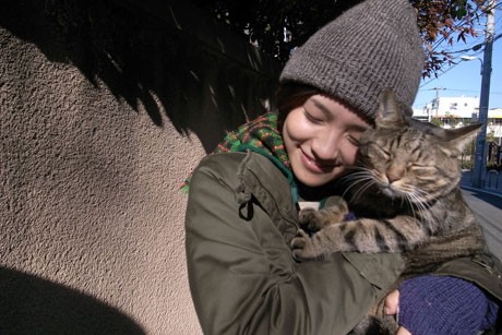 谷根千エリアの野良猫・家猫たちが映画する「私は猫ストーカー」