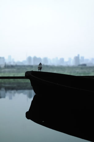 TWS渋谷では、大巻伸嗣さんの新作インスタレーション展「環境展『絶景』」が開催中。写真＝「罪の無い破壊者」（2009年、Photo：Shigeo Muto）の会場風景