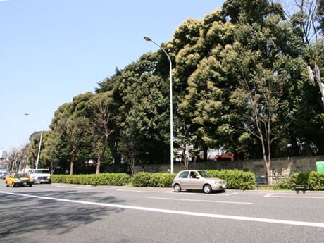 現在の新商業施設建設予定地の様子