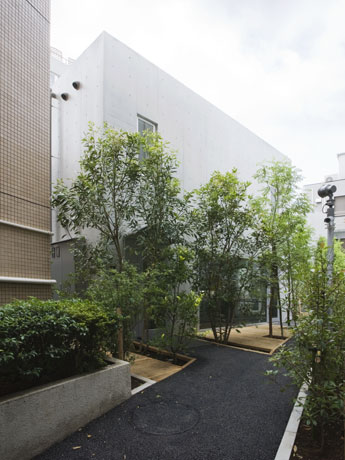 原広司さんが手がけた建物は植樹も含めて設計。施設が常緑樹に囲まれたような印象が特徴。撮影＝永礼賢（ながれさとし）さん