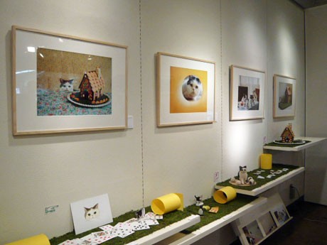 13日間で5,000人以上を動員した「ごぶさた展」の会場