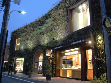 「南青山サンタキアラ教会」の敷地内にはチョコレート専門店「CACAO SAMPAKA」（右下）などが出店する
