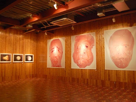 政治家の顔をデザインしたアートやインチキュラー写真など全18点が並ぶ場内