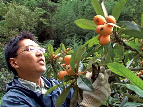 山口県上関町で計画されている原発建設計画を取り上げたドキュメンタリー「ミツバチの羽音と地球の回転」より