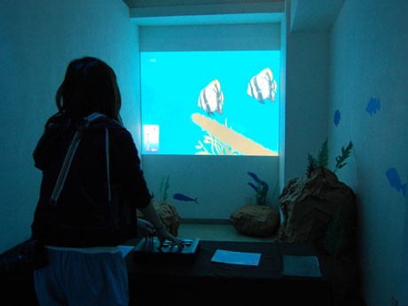 プロジェクターで壁面に映し出した仮想の「海中世界」をジョイスティックを操作することで「海中散歩体験」ができる「アクアシップ」