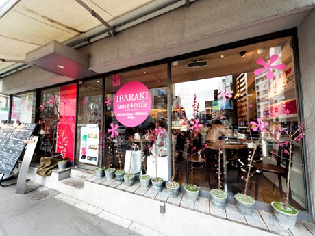 店頭には梅の苗木を飾るほか、各テーブルには観光各所の写真も掲出