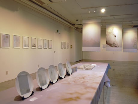 作品約30点を展示するほか、絵皿やテーブルクロスなどに展開したアイテムも販売する場内