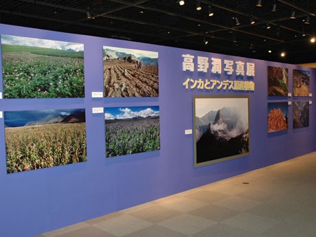 館内には「自然・景色」「遺跡」「祭り」「原産植物」にまつわる写真約200点を展示する