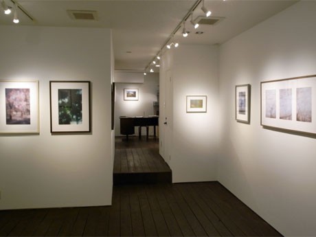 現在は熊谷聖司さんが、東日本大震災から1カ月後に都内で撮影した春の写真を展示している