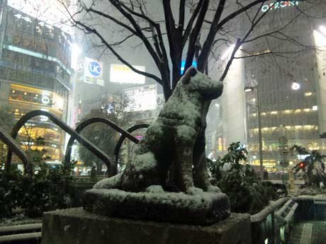 この冬初めて雪化粧したハチ公像