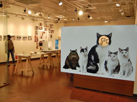 猫になってまこたち4匹と写真を撮影できる顔はめパネルも用意