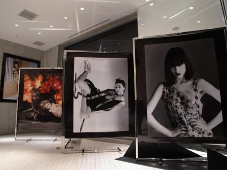 場内には20×24インチのインスタントフィルム作品が並ぶ