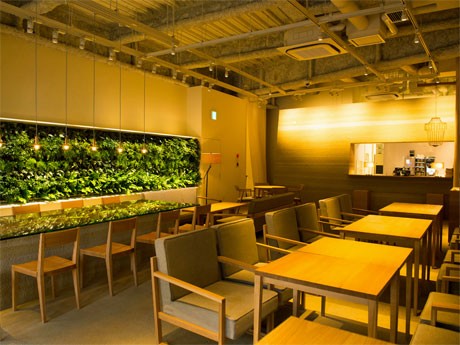 土や緑を取り入れ「くつろぎのある空間、公園」をイメージに仕上げた店内