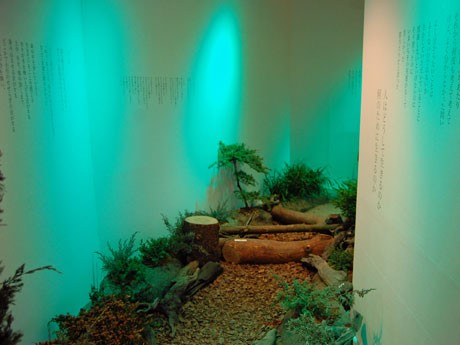 本物の草木や砂利などを使って作った場内