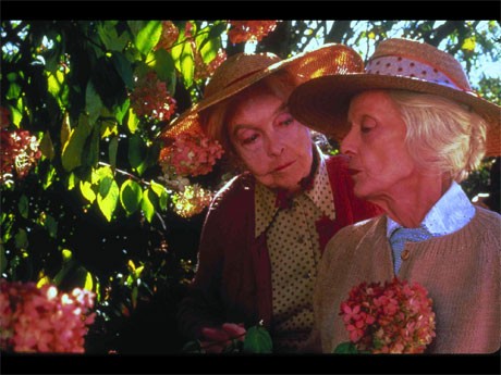 「八月の鯨」より&copy;1988Alive Films,Inc.and Orion Pictures Corporation. All Right Reserved.