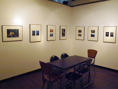 役30枚の写真を展示する場内