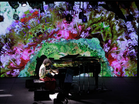 昨年のパフォーマンスの様子。撮影：冨田了平