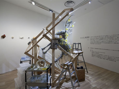 大小さまざまなガラスビーズで鹿のはく製を覆った「BEADS」の制作過程を再現&copy;青木兼治