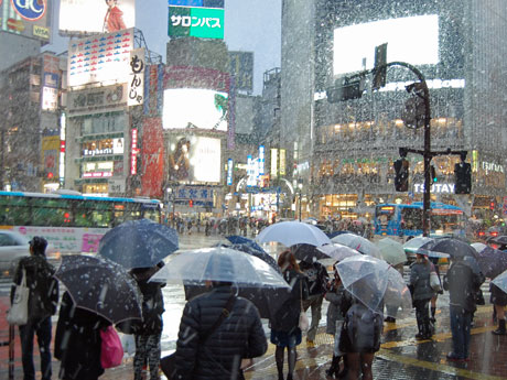 雪が降る渋谷駅前交差点