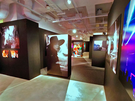 3つのテーマで計50点ほどの作品を展示する場内