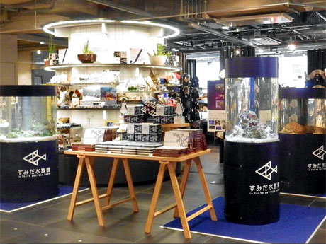 魚の展示などを行う1階特設会場