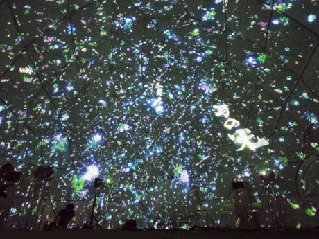 書と花の3D映像を上映するドーム内