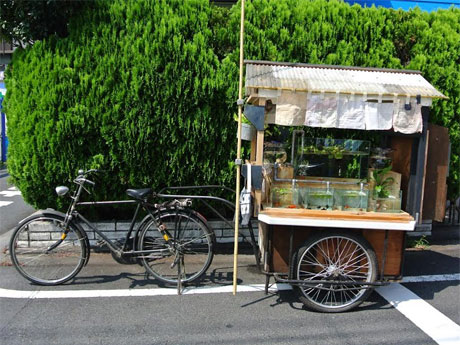 渋谷ロフトに登場する金魚屋台