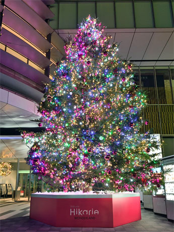 高さ8メートルのモミの生木を使ったツリー「ヒカリノキ」