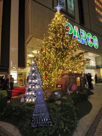 高さ8メートルと3メートルのモミの生木を使ったツリー