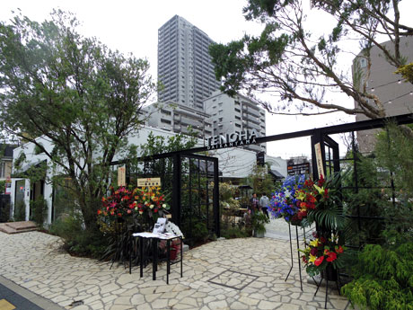 エントランス付近