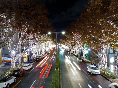 シャンパンゴールド色のLED約50万球で装飾するイルミネーション