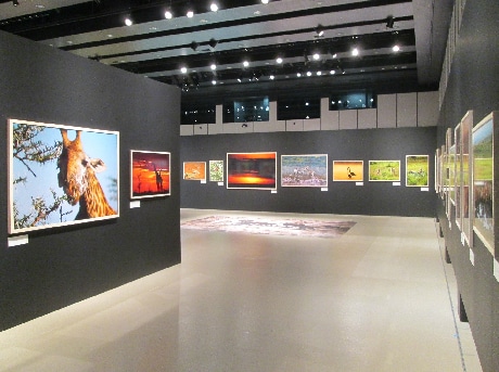 250点ほどの写真を展示する場内