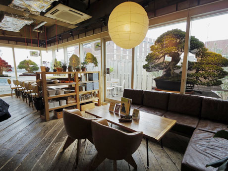 盆栽のパネルやカッティングシートなどで装飾する店内