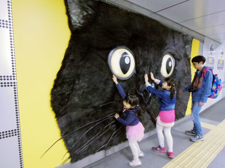 黒猫の顔は触ることもできる