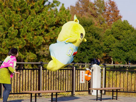 写真や映像などでふなっしーの活動を紹介する