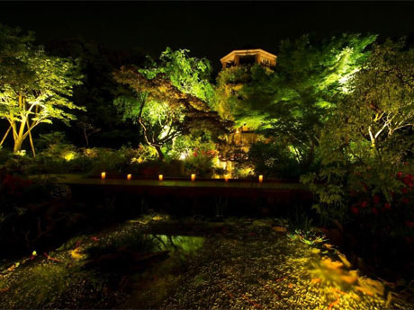 夜のウェスティンガーデン