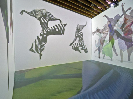 床を含めた4面に映像を映し出している