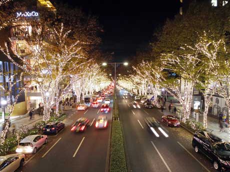 ケヤキ約100本などにシャンパンゴールド色のLED電球約50万球を装飾している