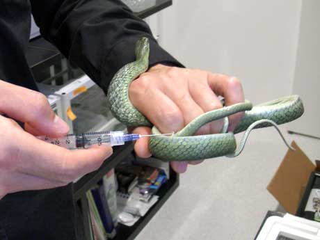 常勤する獣医師が注射や健康相談などに応じる