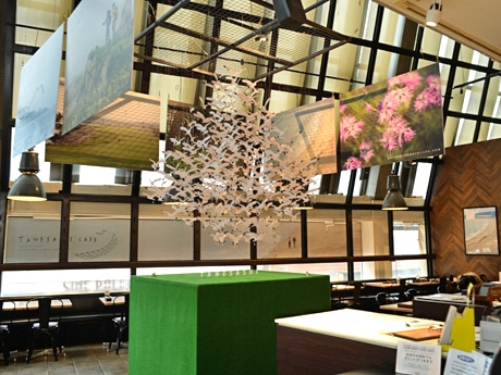 ウミネコの群れを表現したオブジェや撮りおろしの写真などを展示する店内