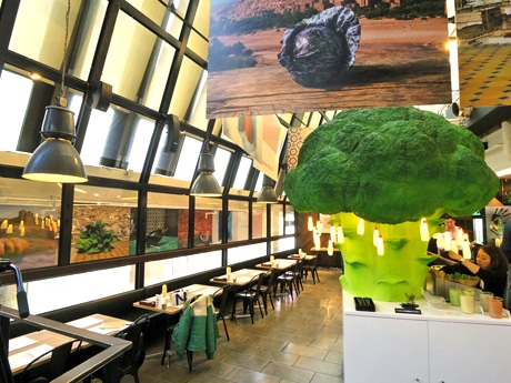 ブロッコリー型のオブジェが目を引く店内