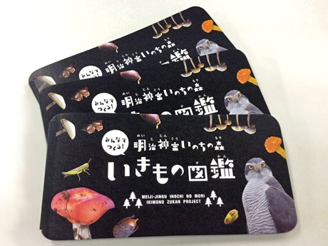 順次配布している「いきもの図鑑」の冊子