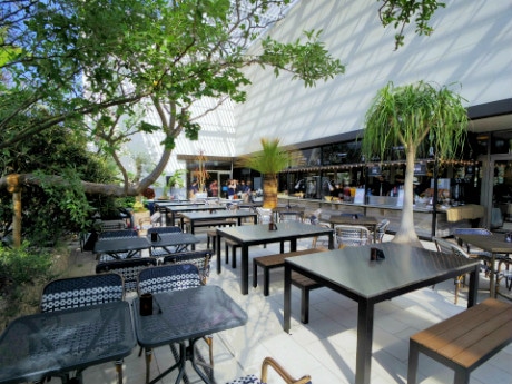 植物に囲まれたテラスに開いた