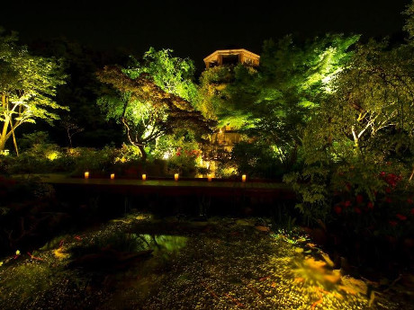 ライトアップされた庭園