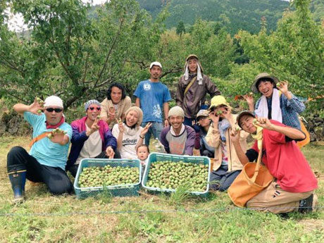 青梅を育てる熊本の「地球農園」のスタッフたち