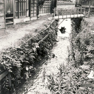 1956年に撮影された「春の小川」のモデルとされる河骨川