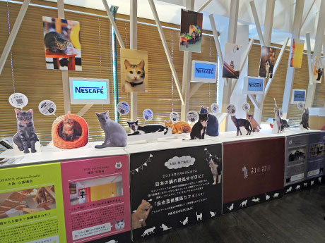 カフェ店内には保護猫の写真などを展示する