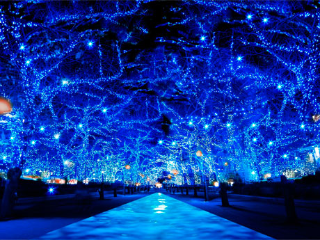 青色LEDで「青の洞窟」を表演するイルミネーションのイメージ