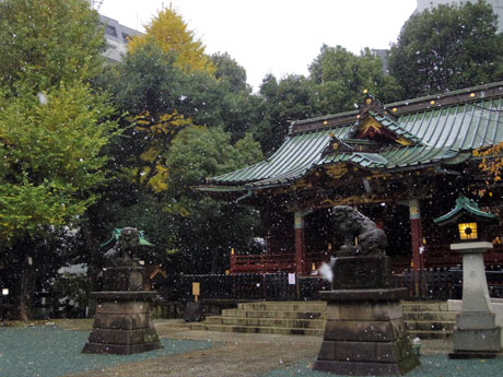 本殿の屋根に積雪も見られる金王八幡宮